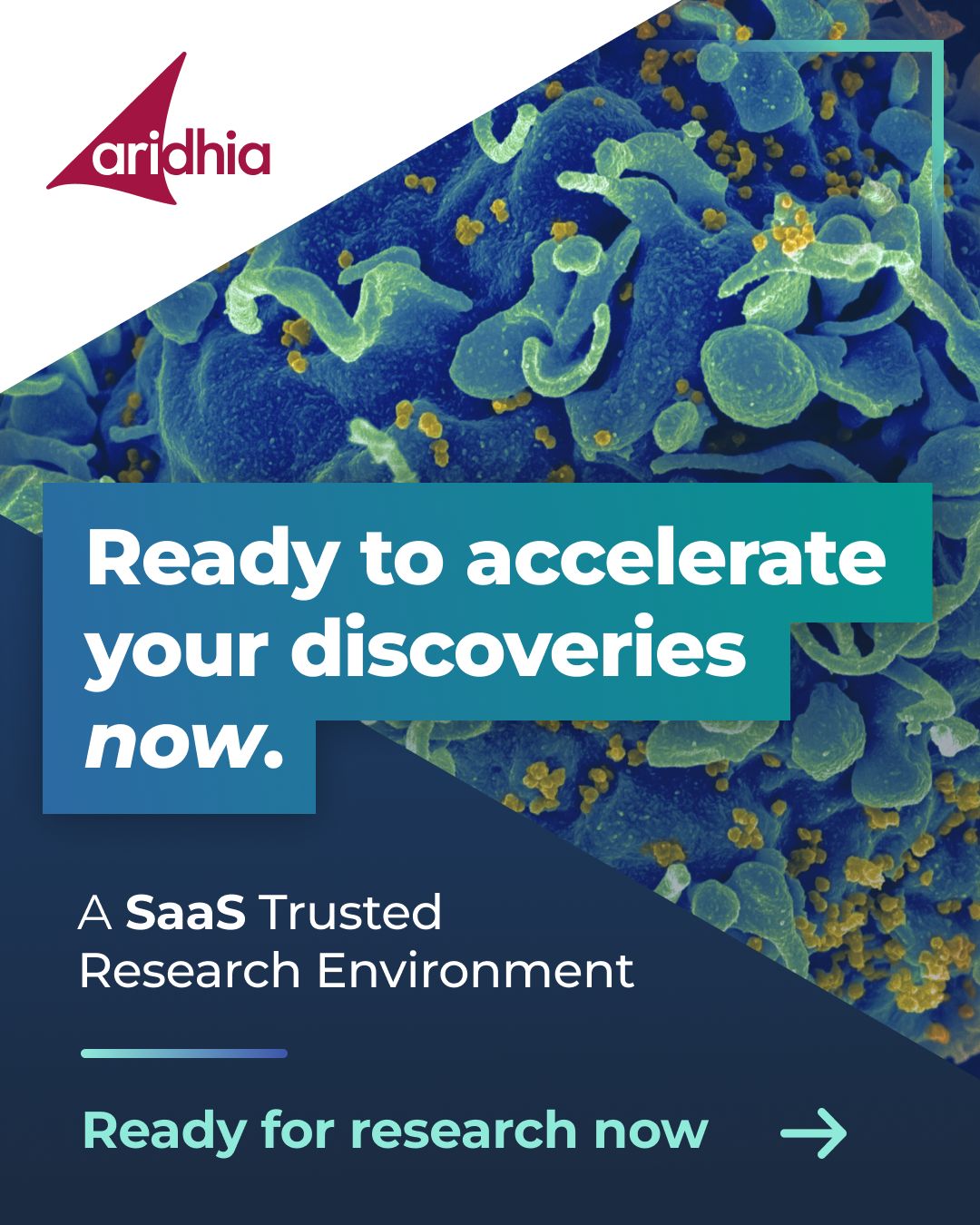 Aridhia ad