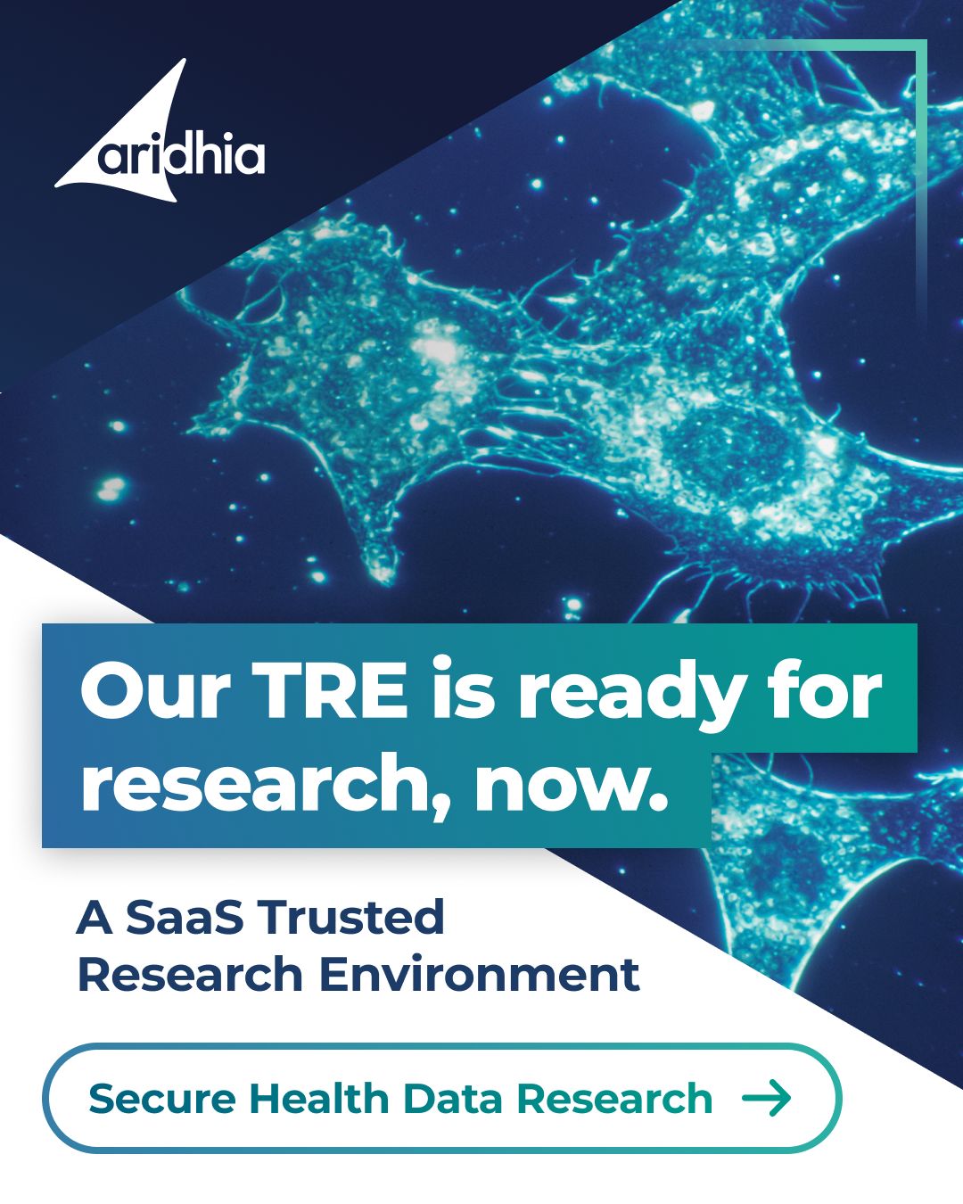Aridhia ad