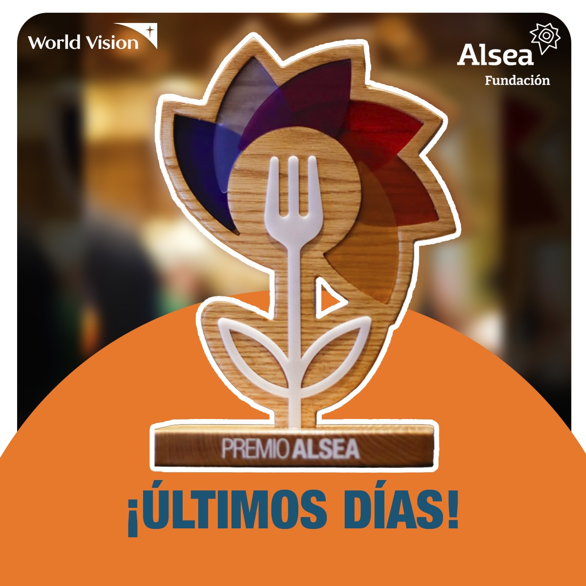 Alsea ad