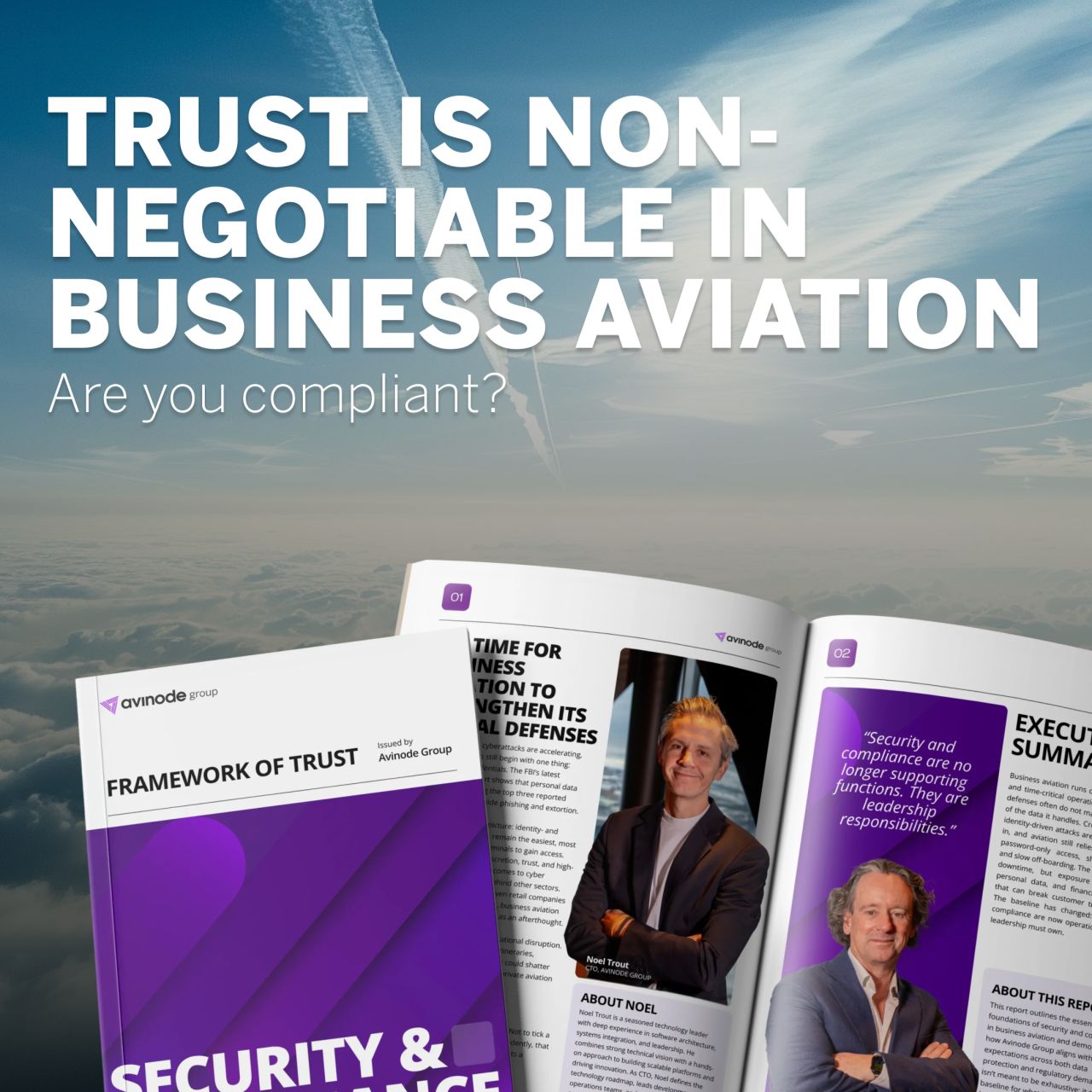 Avinode Group ad