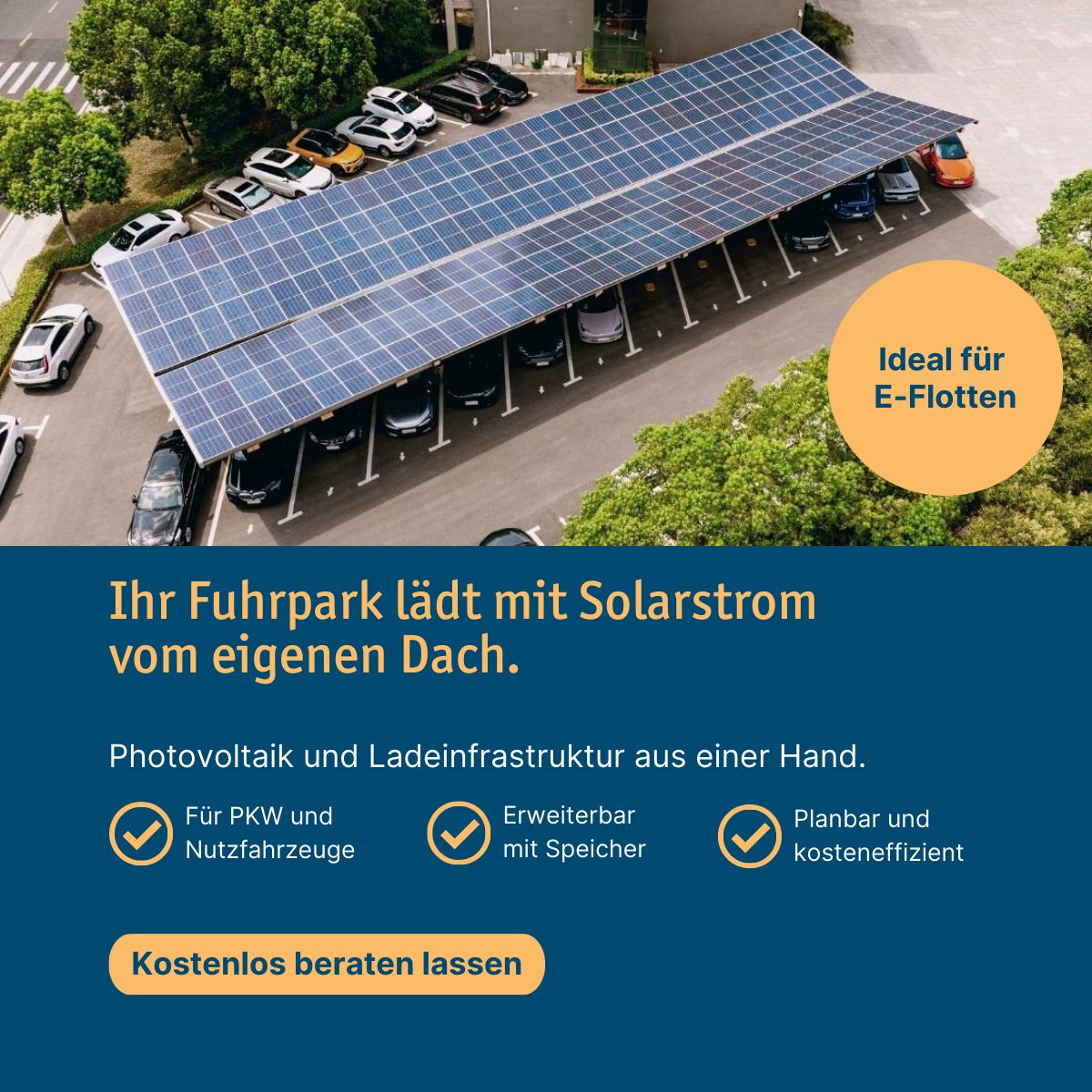 LichtBlick SE ad