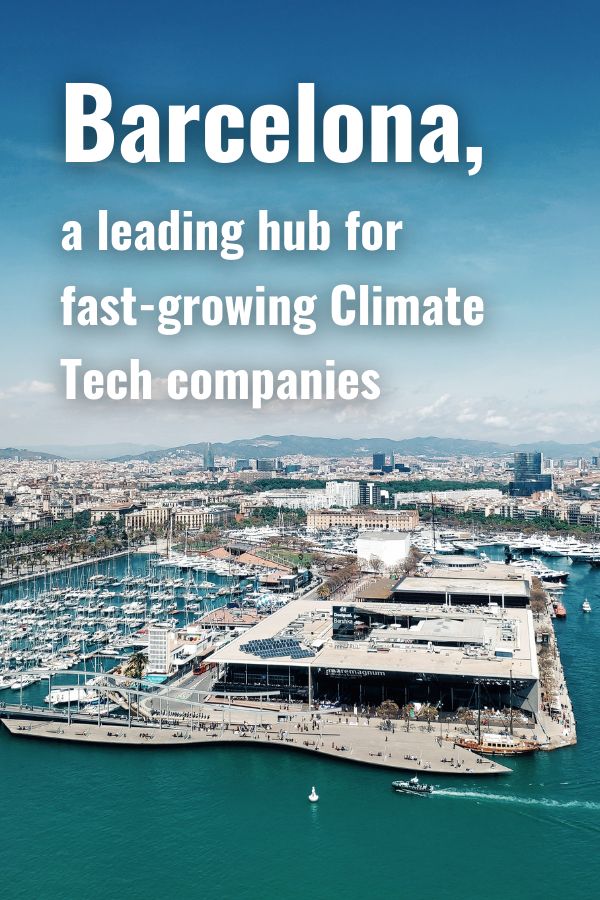 Barcelona & Partners ad