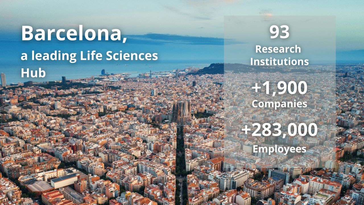 Barcelona & Partners ad