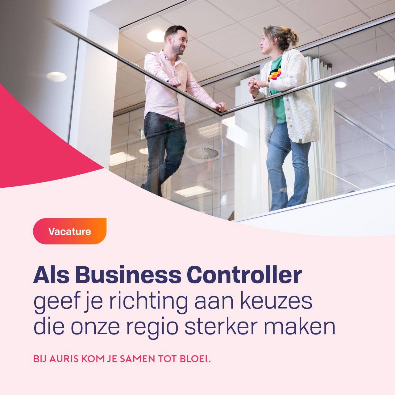 Koninklijke Auris Groep ad