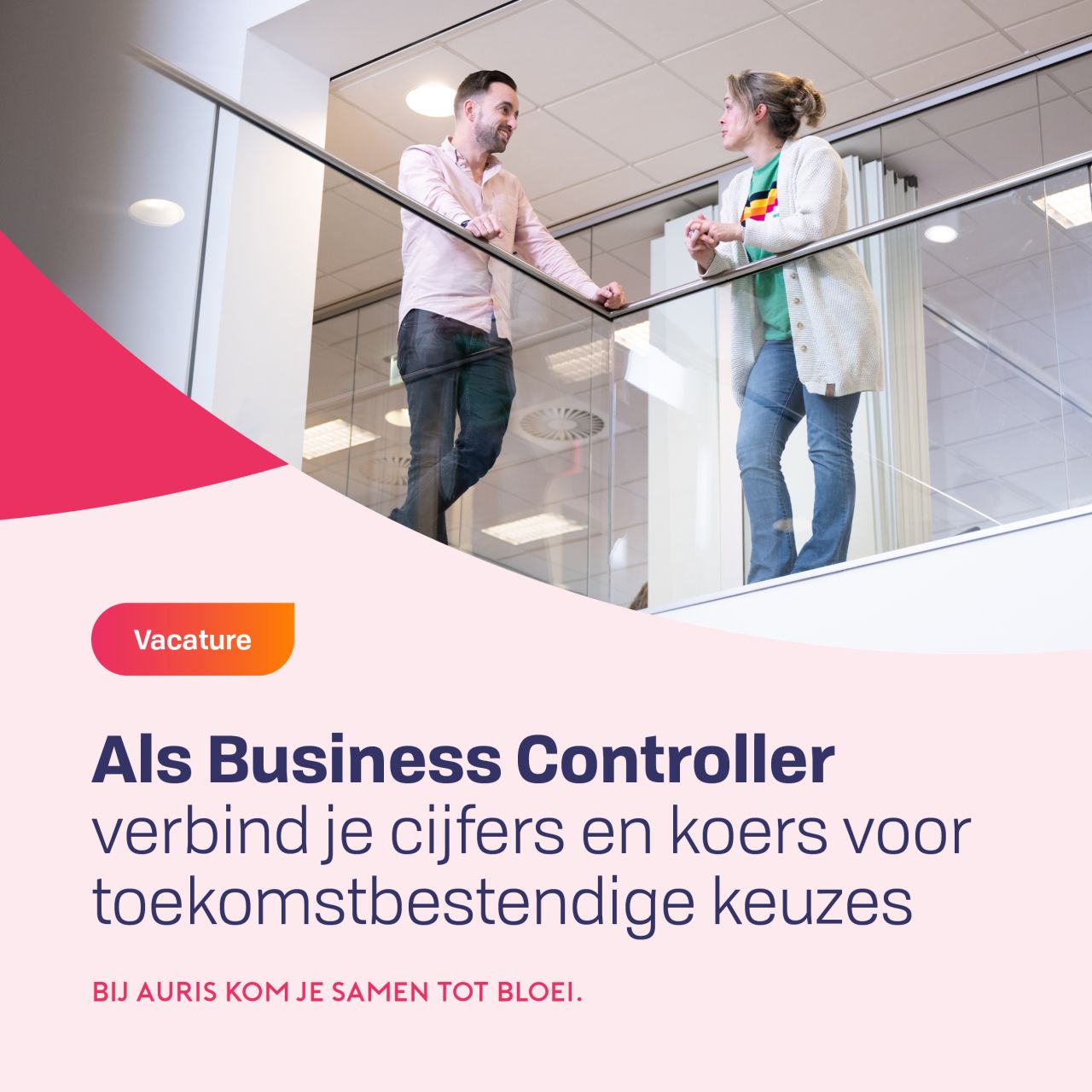 Koninklijke Auris Groep ad