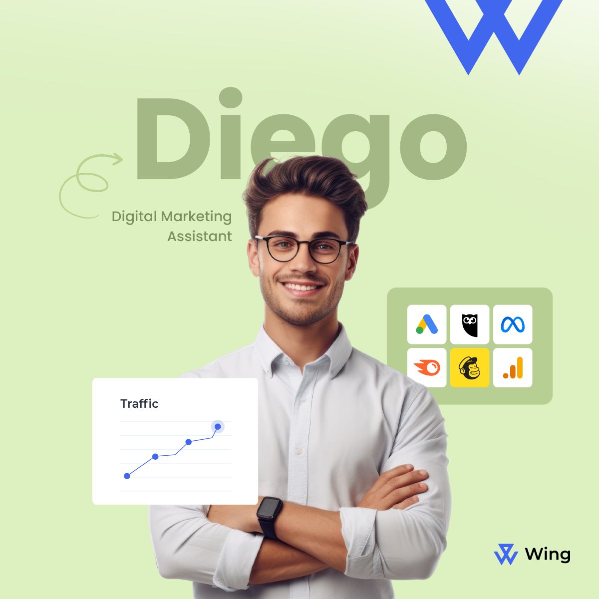 Wing Assistant ad