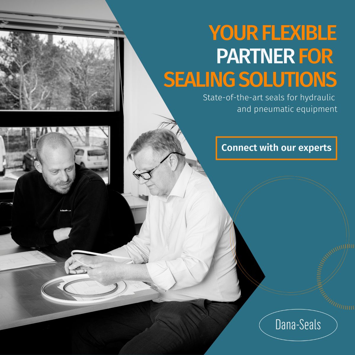 Dana-Seals A/S ad