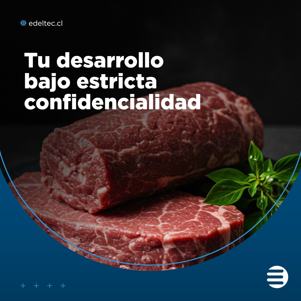 Edeltec SPA ad