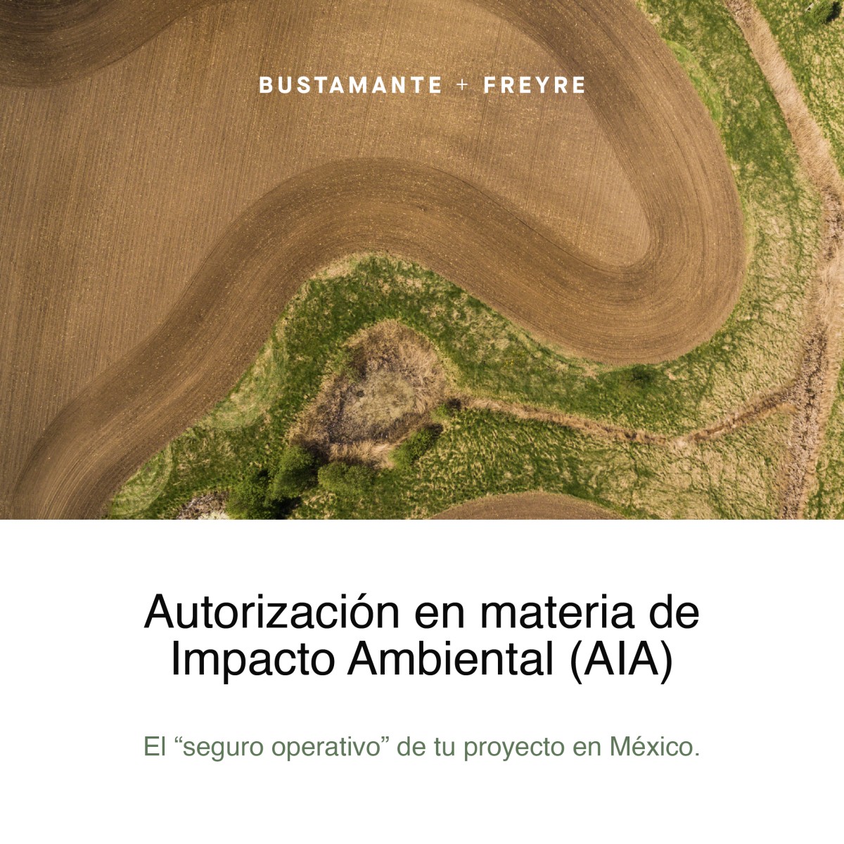 Bustamante + Freyre ad