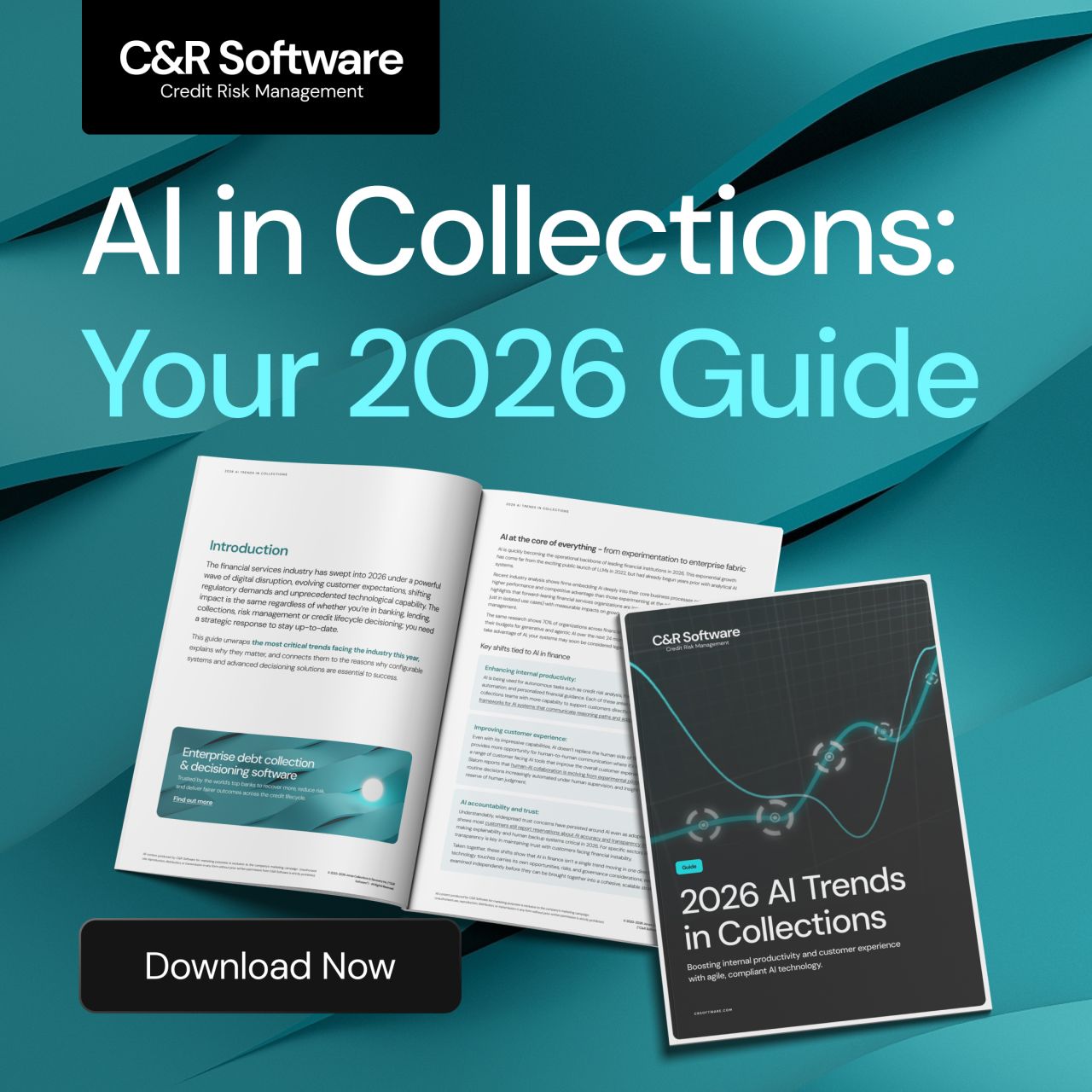 C&R Software ad