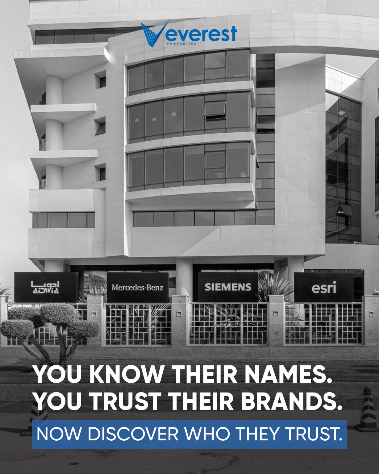 Everest Properties ad