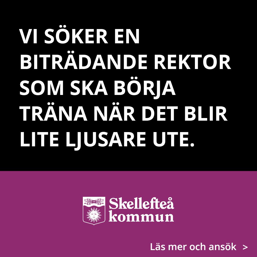 Skellefteå kommun ad