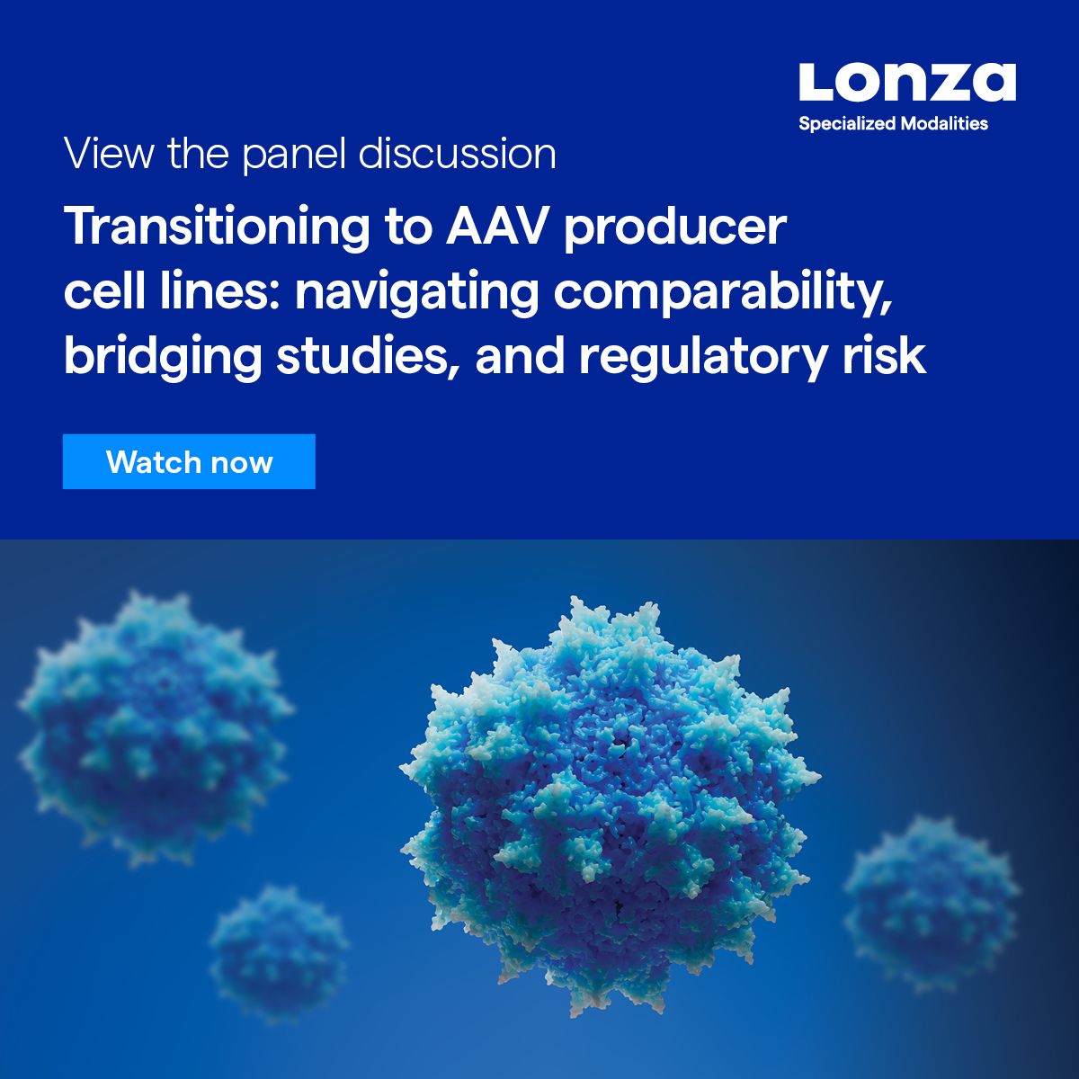 Lonza ad