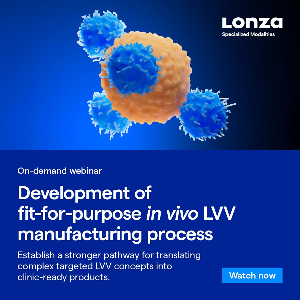 Lonza ad