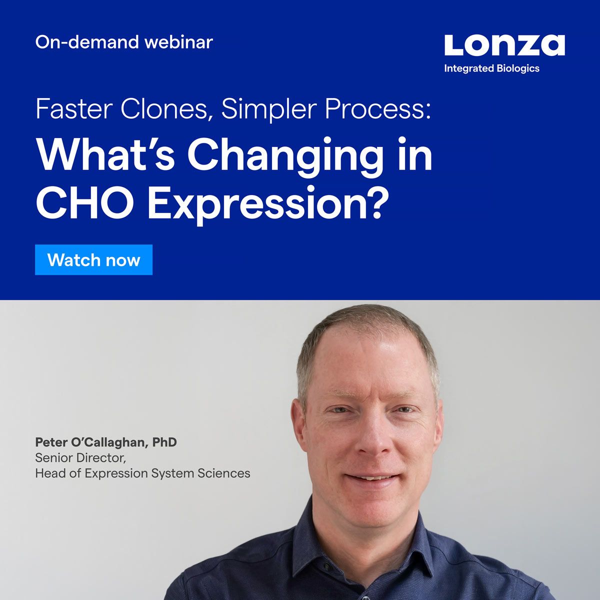 Lonza ad