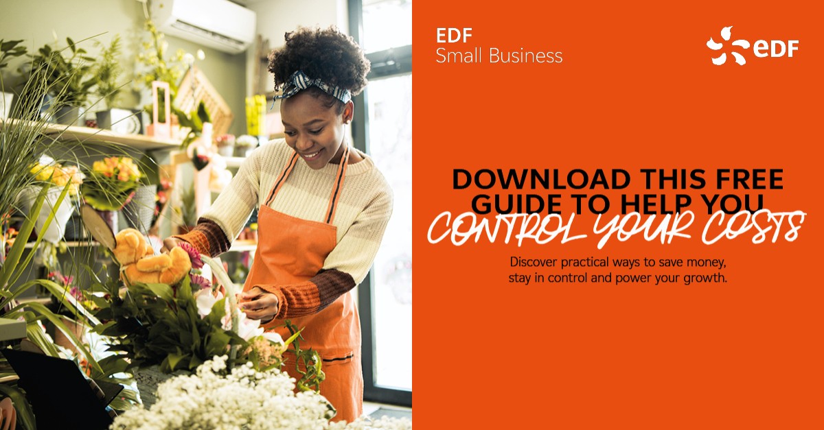 EDF (UK) ad
