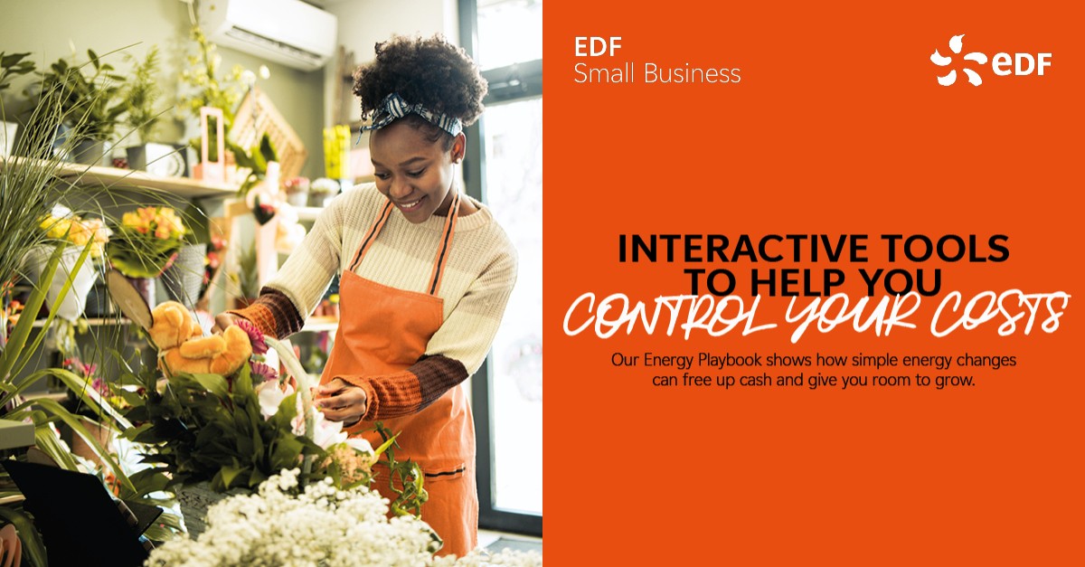 EDF (UK) ad
