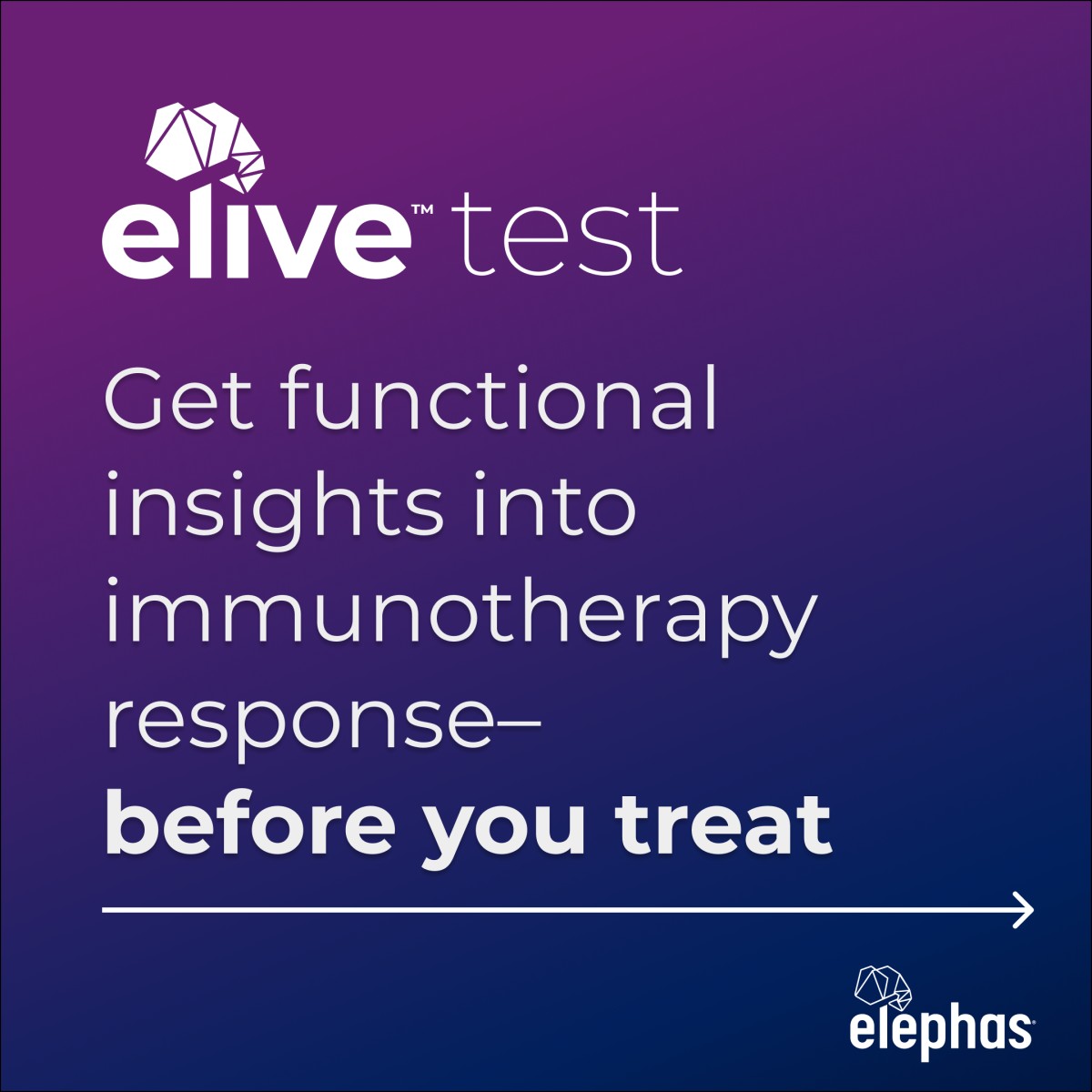 Elephas ad