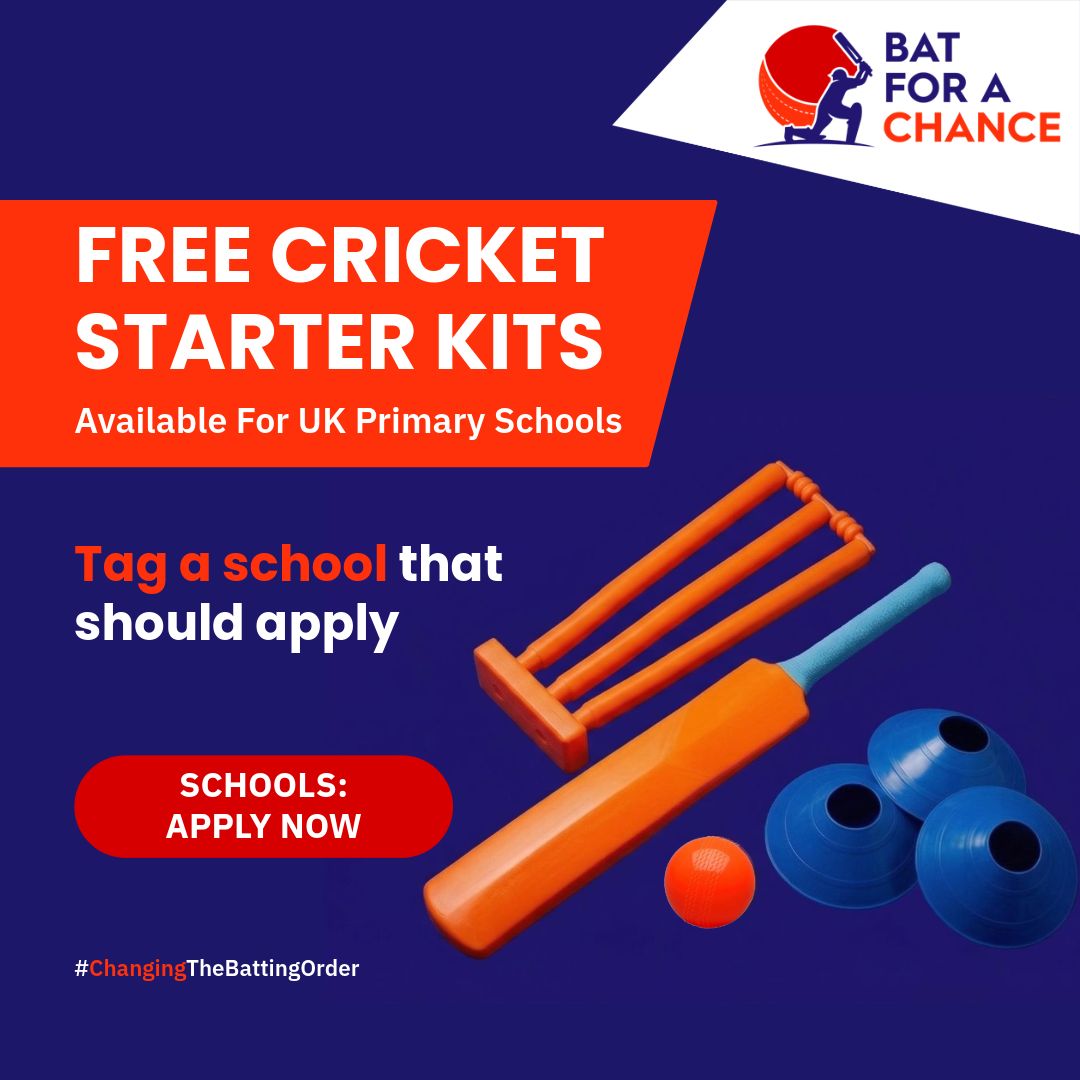 Bat For A Chance ad