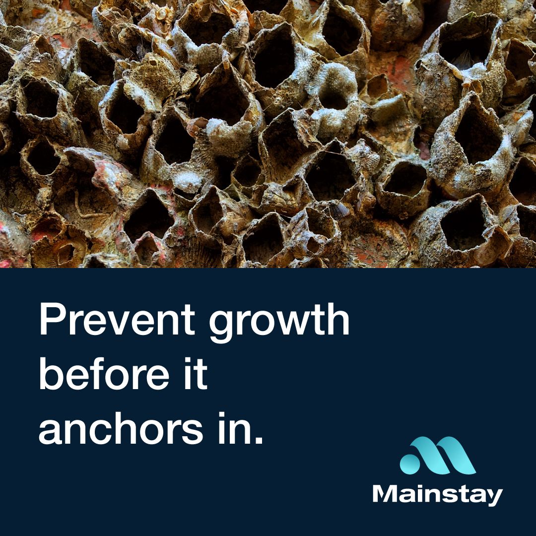 Mainstay AS ad