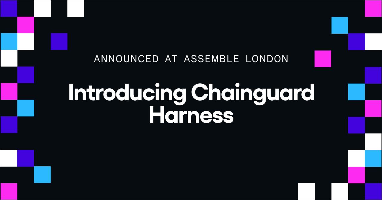 Chainguard ad