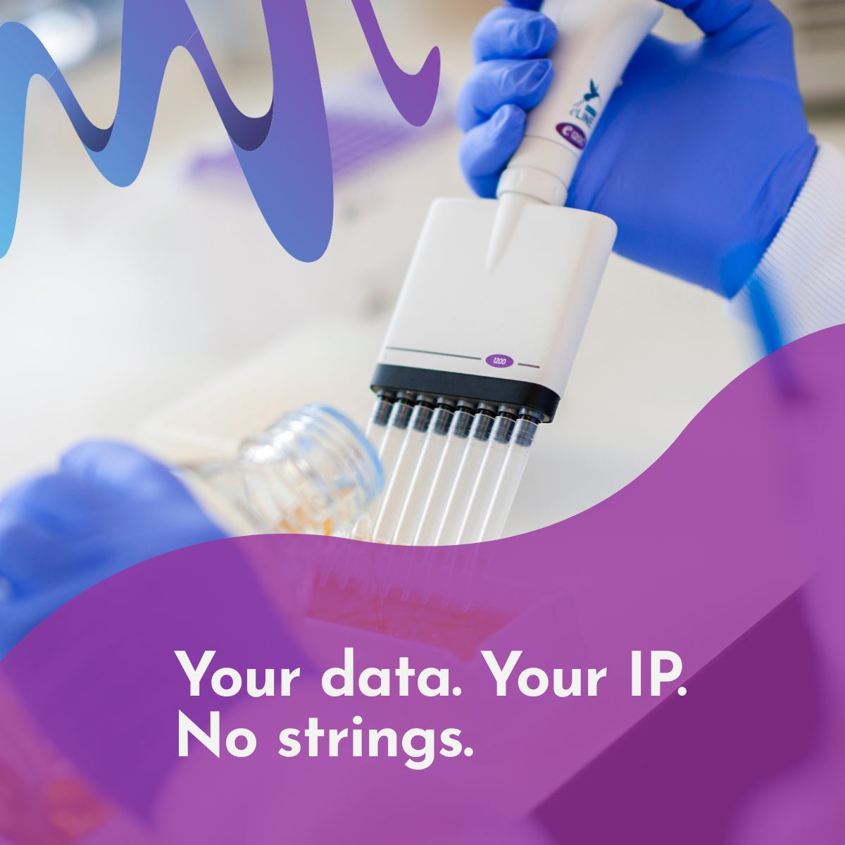Isogenica ad