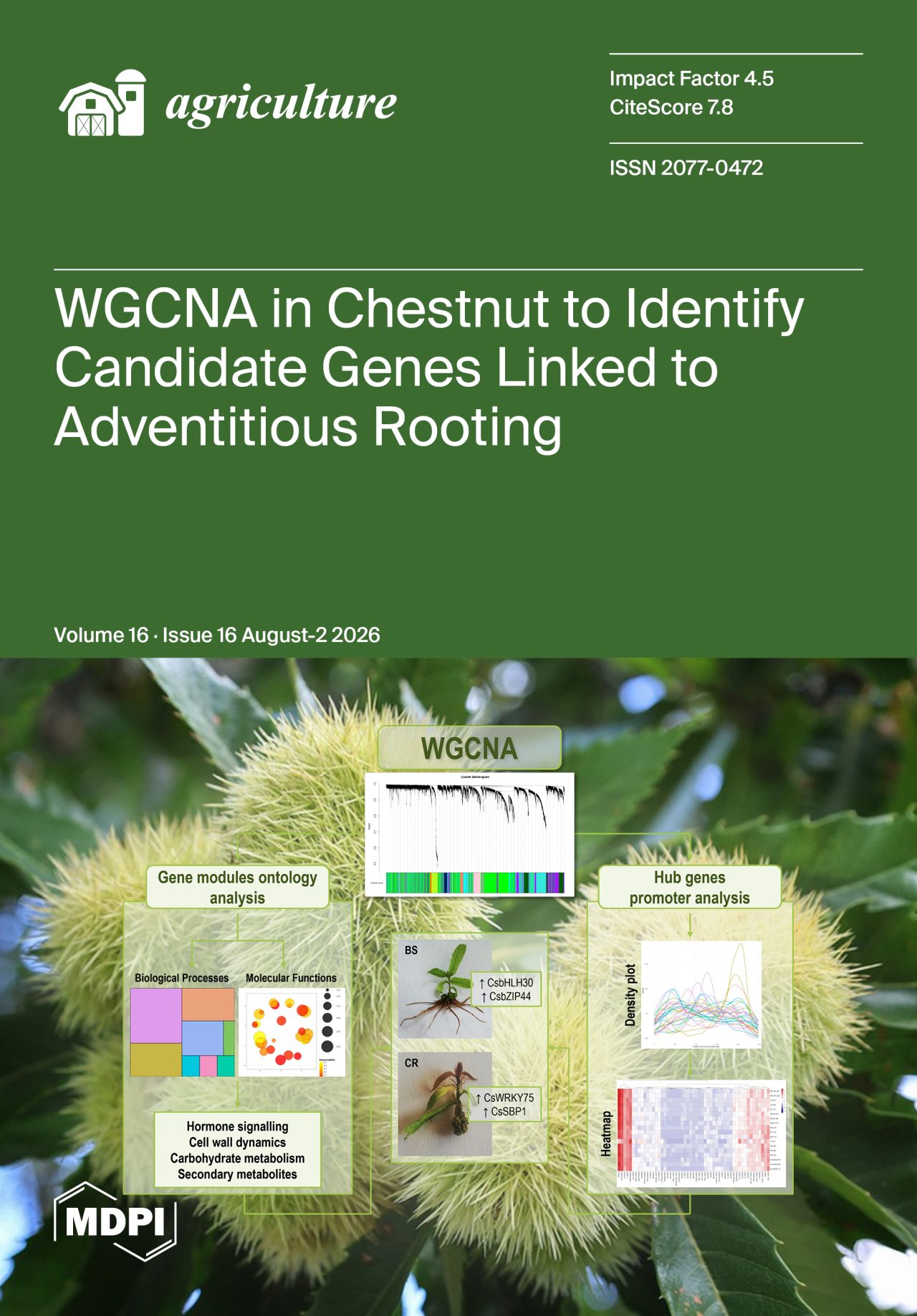 Agriculture MDPI ad