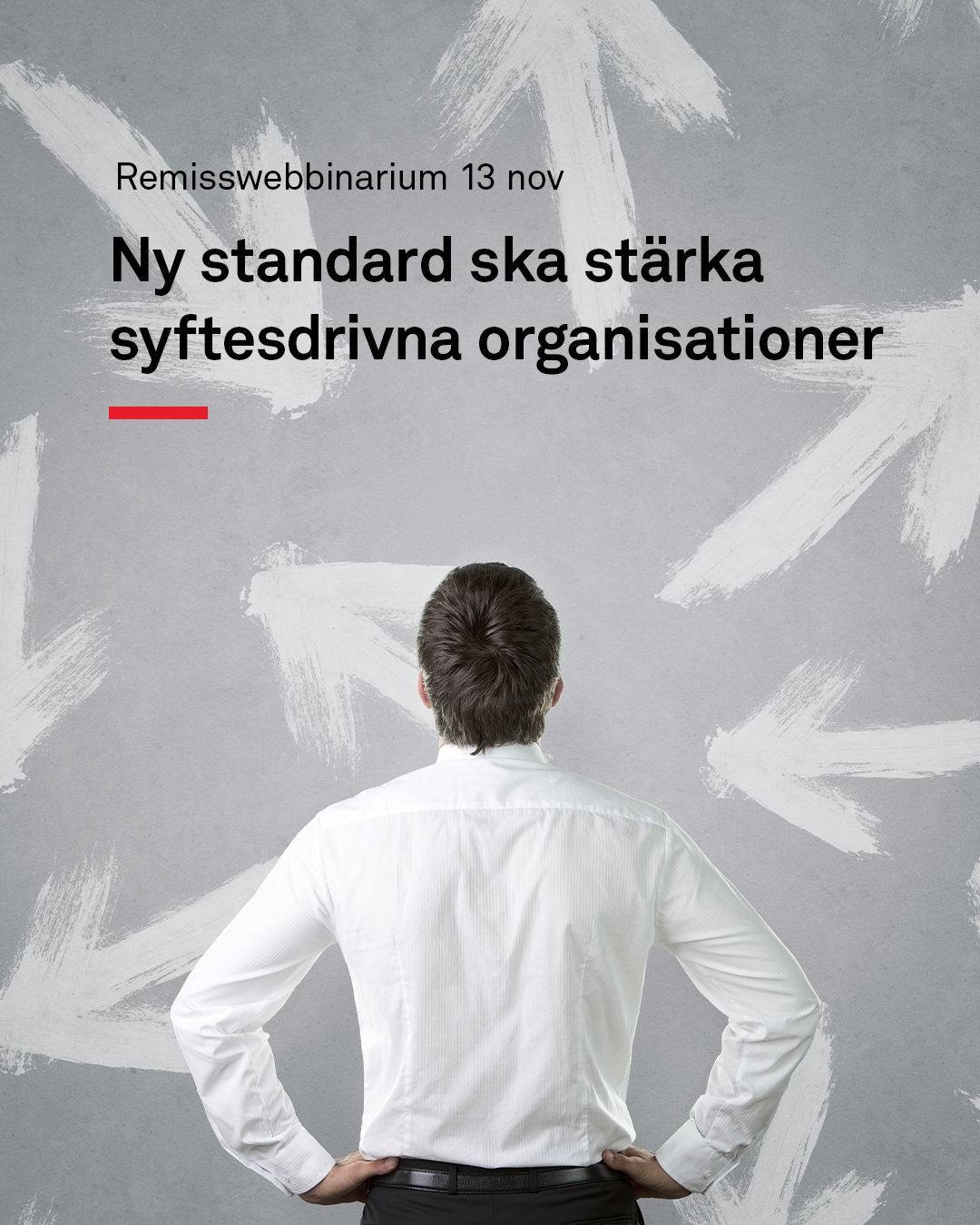 Swedish Institute for Standards, SIS ad