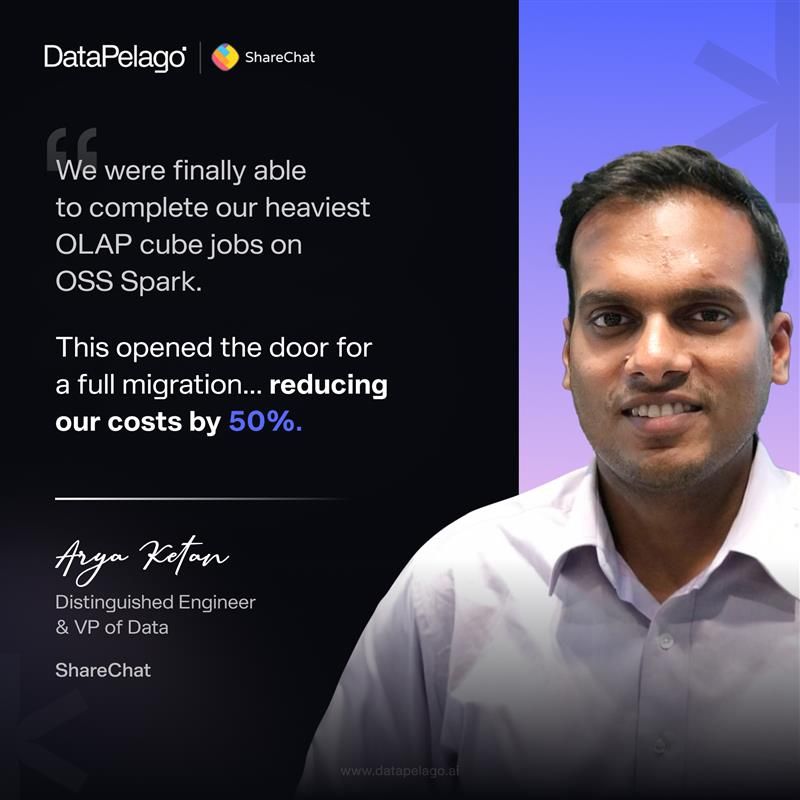 DataPelago ad
