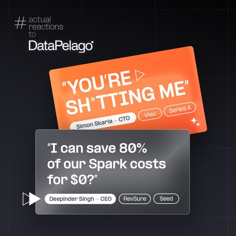 DataPelago ad