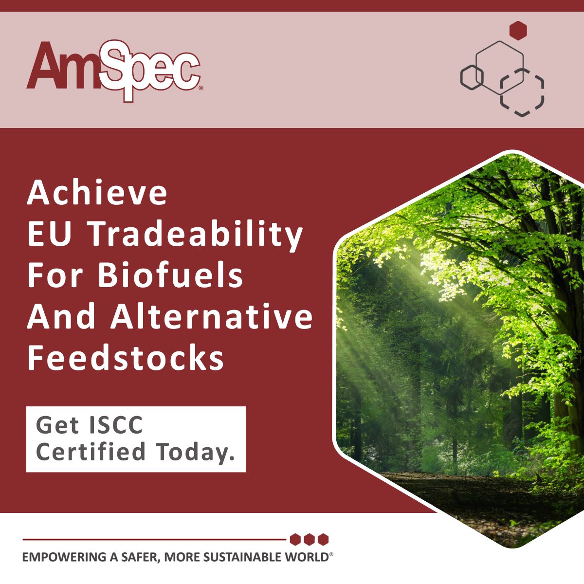 AmSpec Group ad