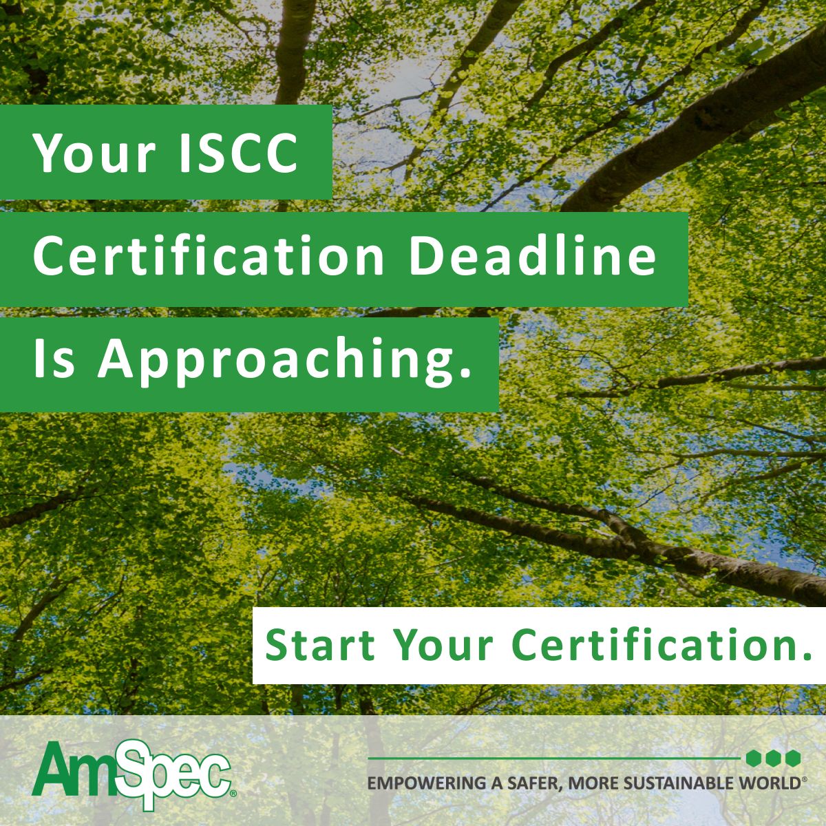AmSpec Group ad
