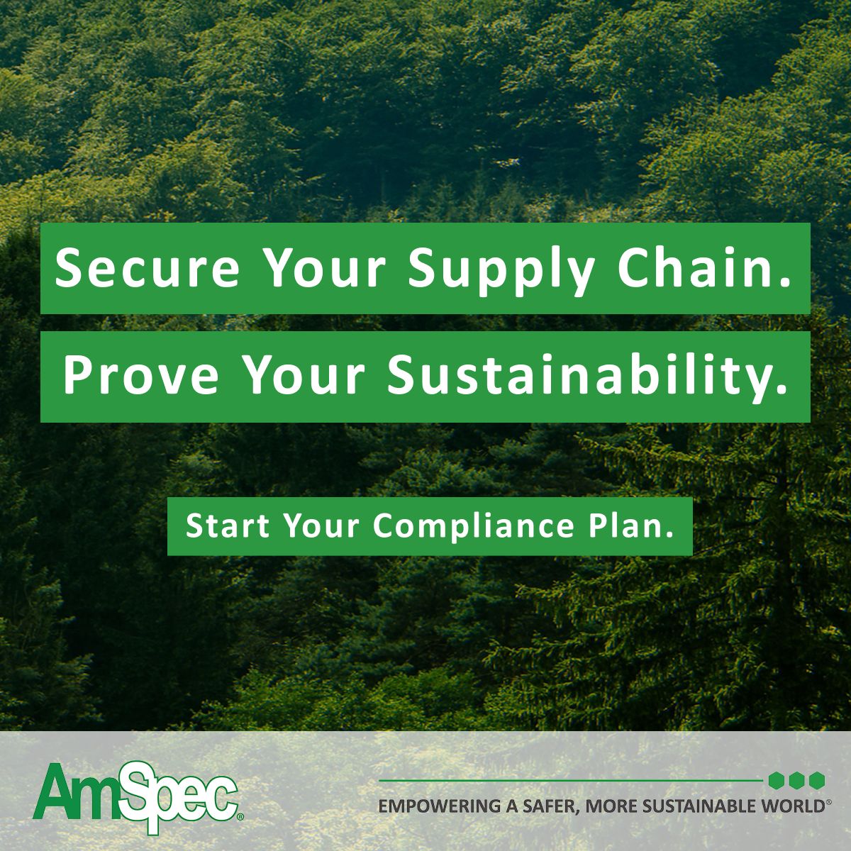 AmSpec Group ad