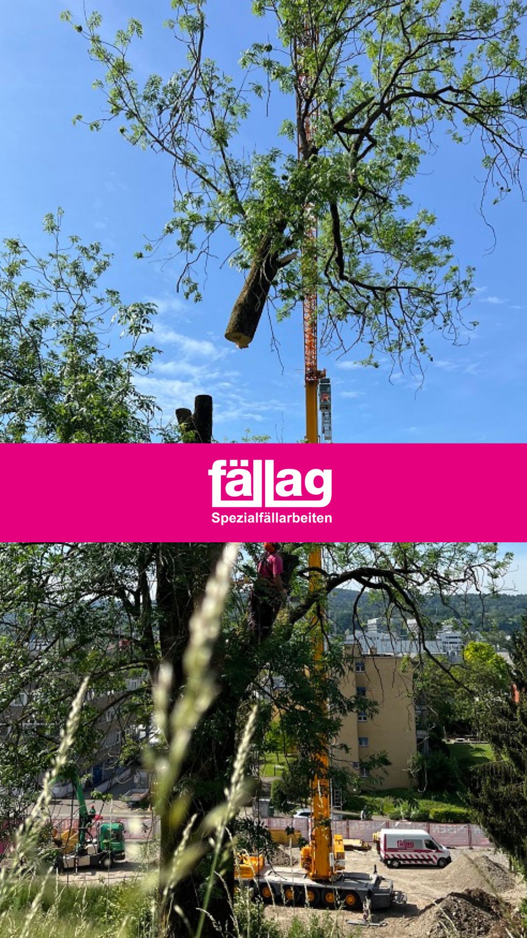 Fällag AG Spezialfällarbeiten ad