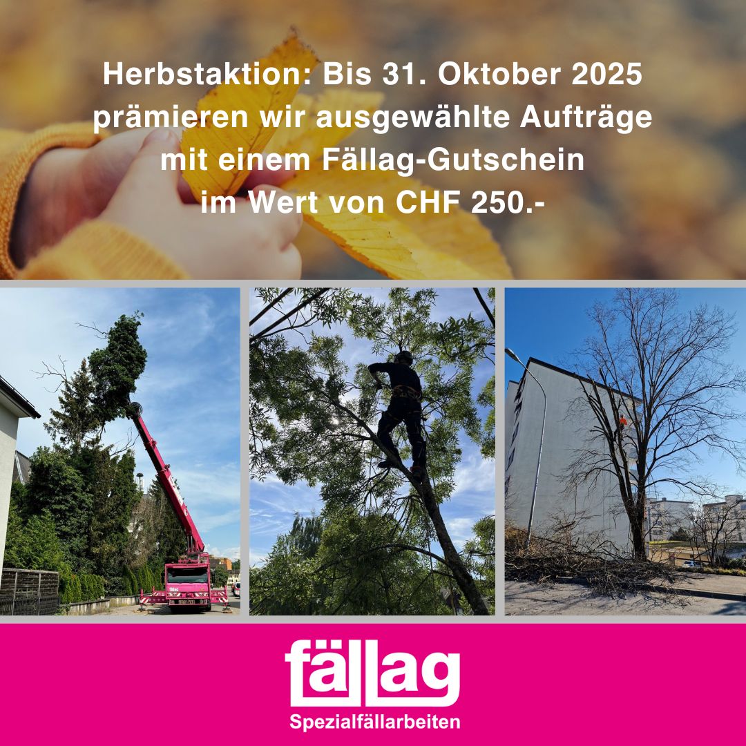 Fällag AG Spezialfällarbeiten ad