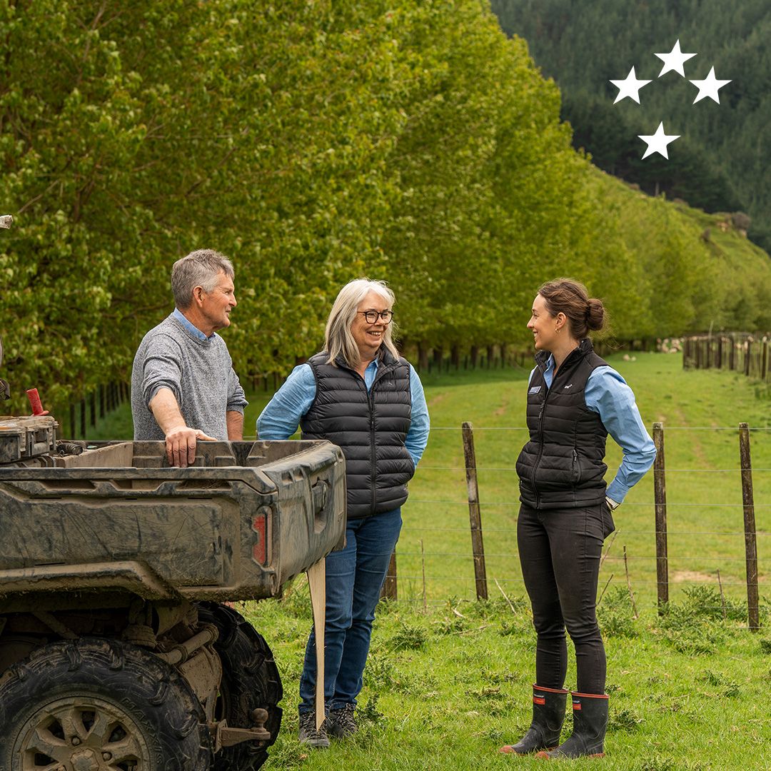Bank of New Zealand ad