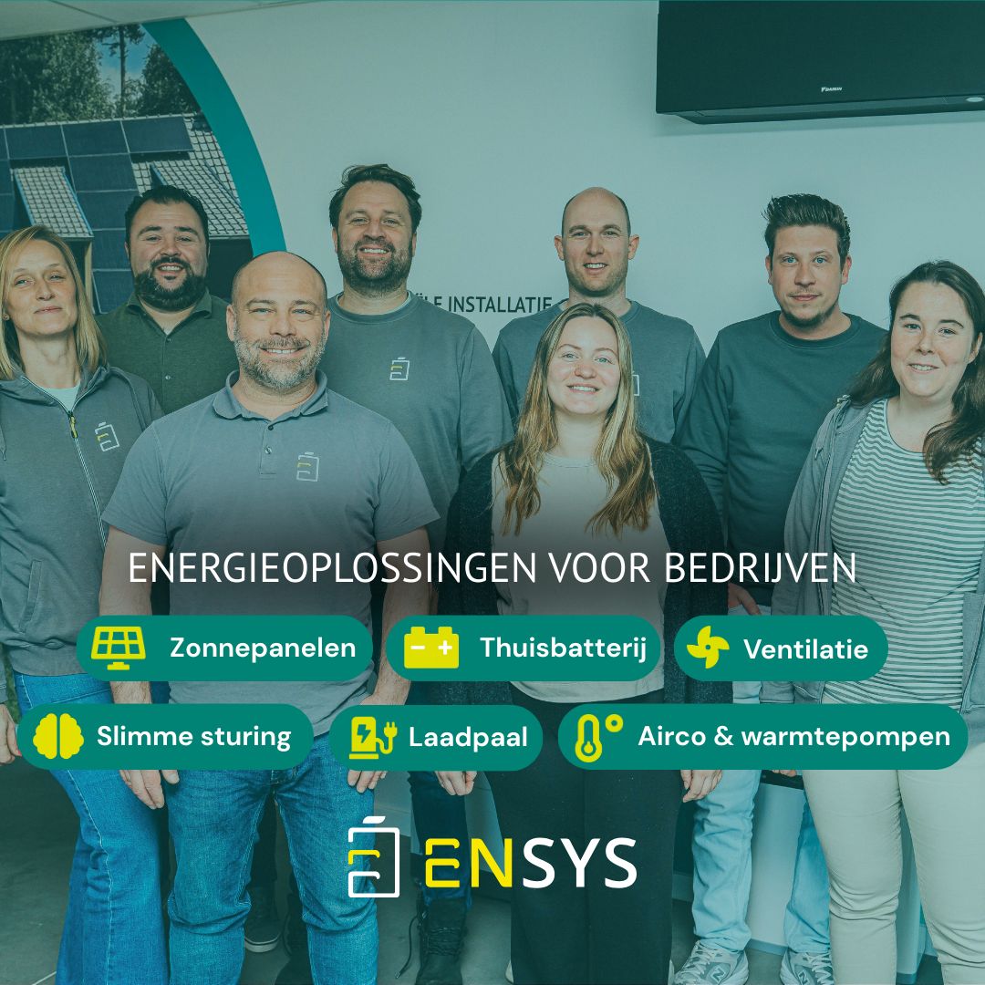 Ensys ad