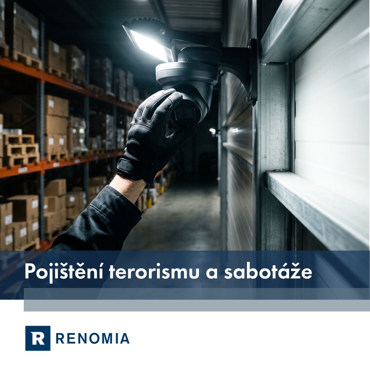 RENOMIA ad