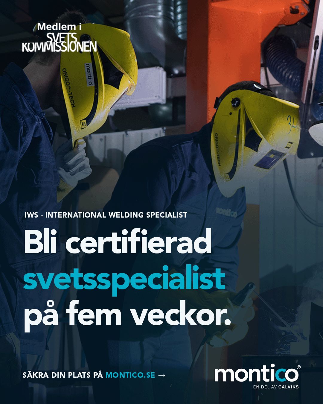 Montico ad