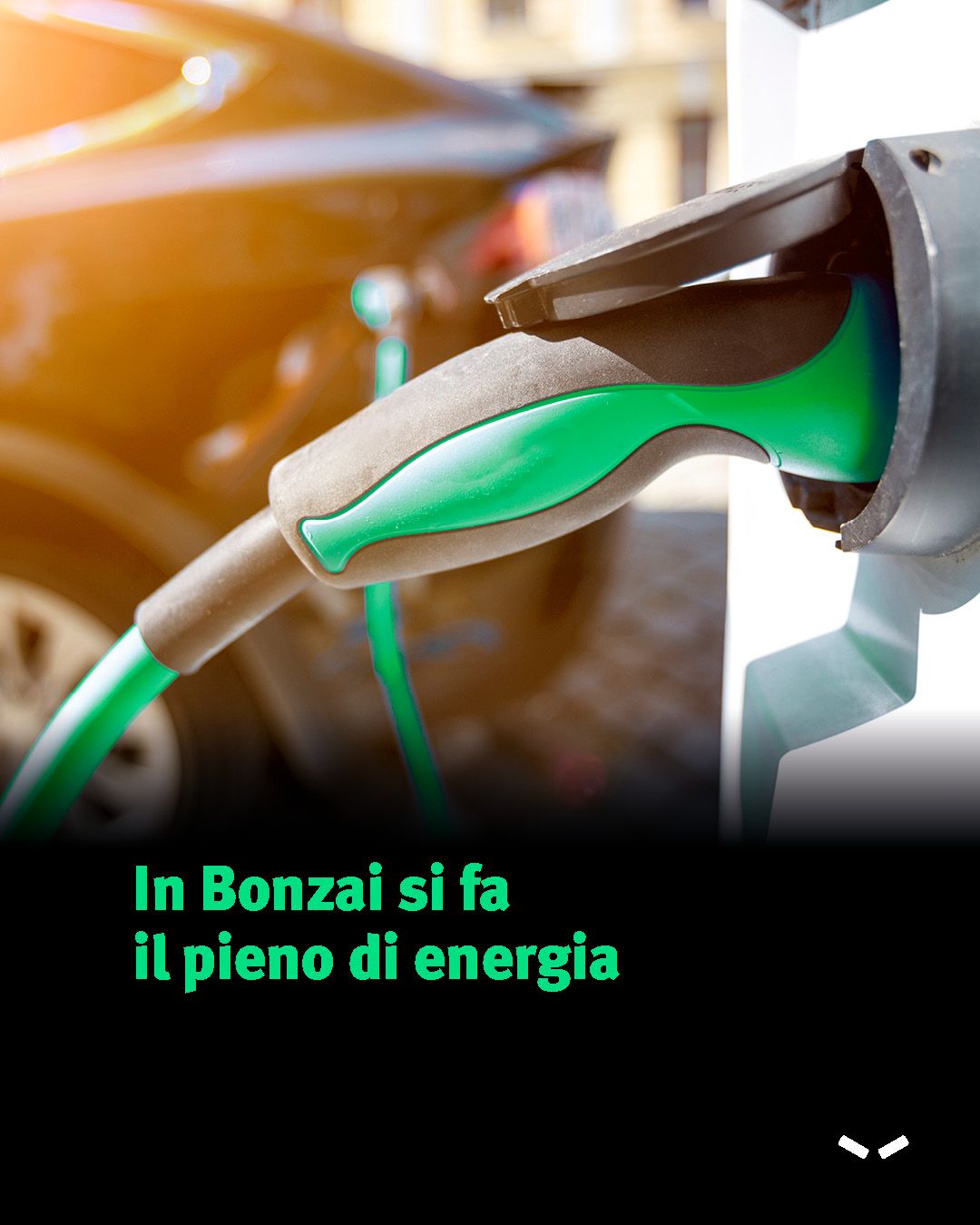 Bonzai ad