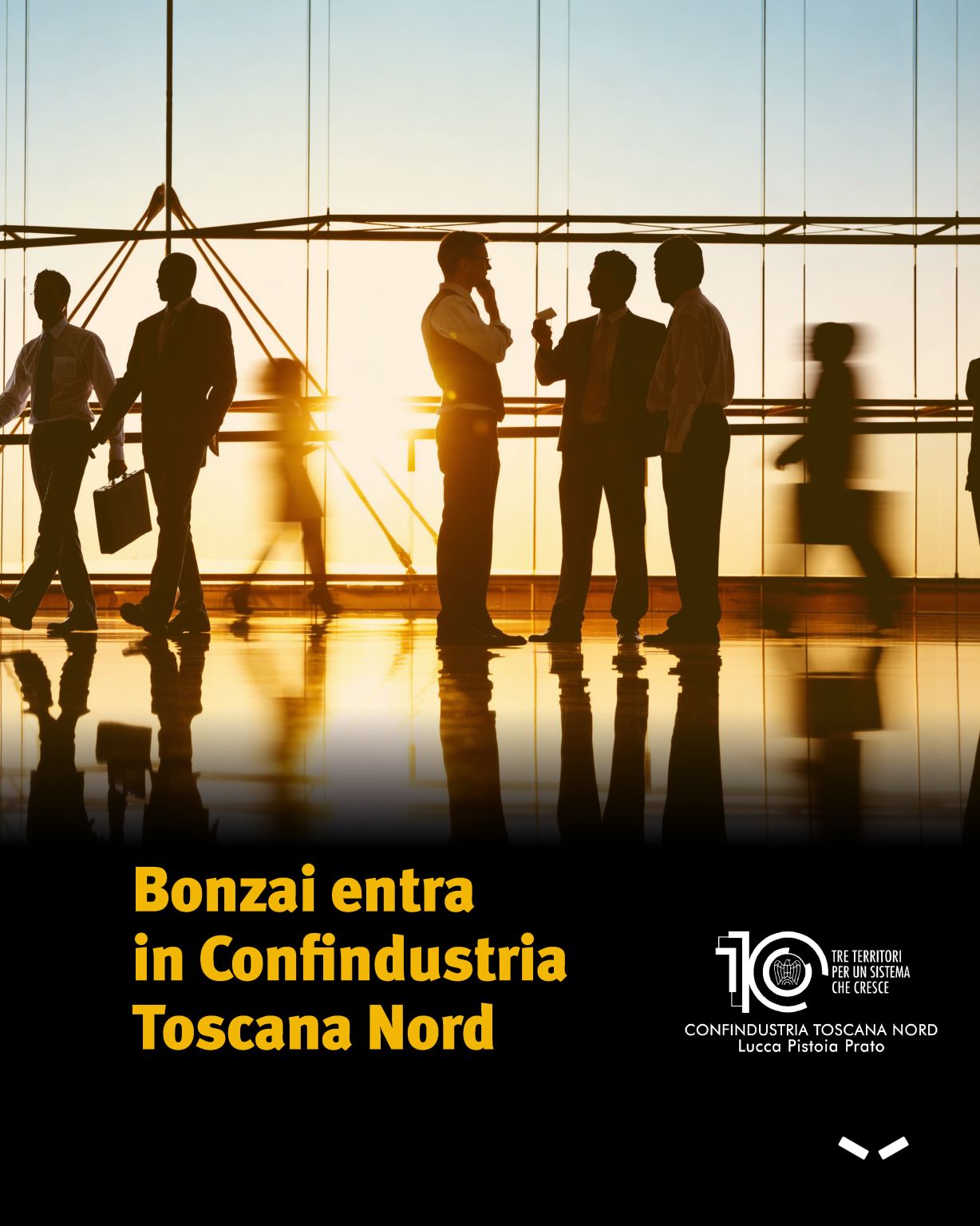 Bonzai ad