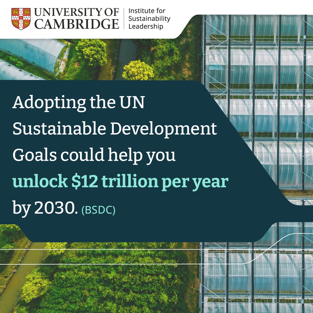 Cambridge Institute for Sustainability Leadership (CISL) ad