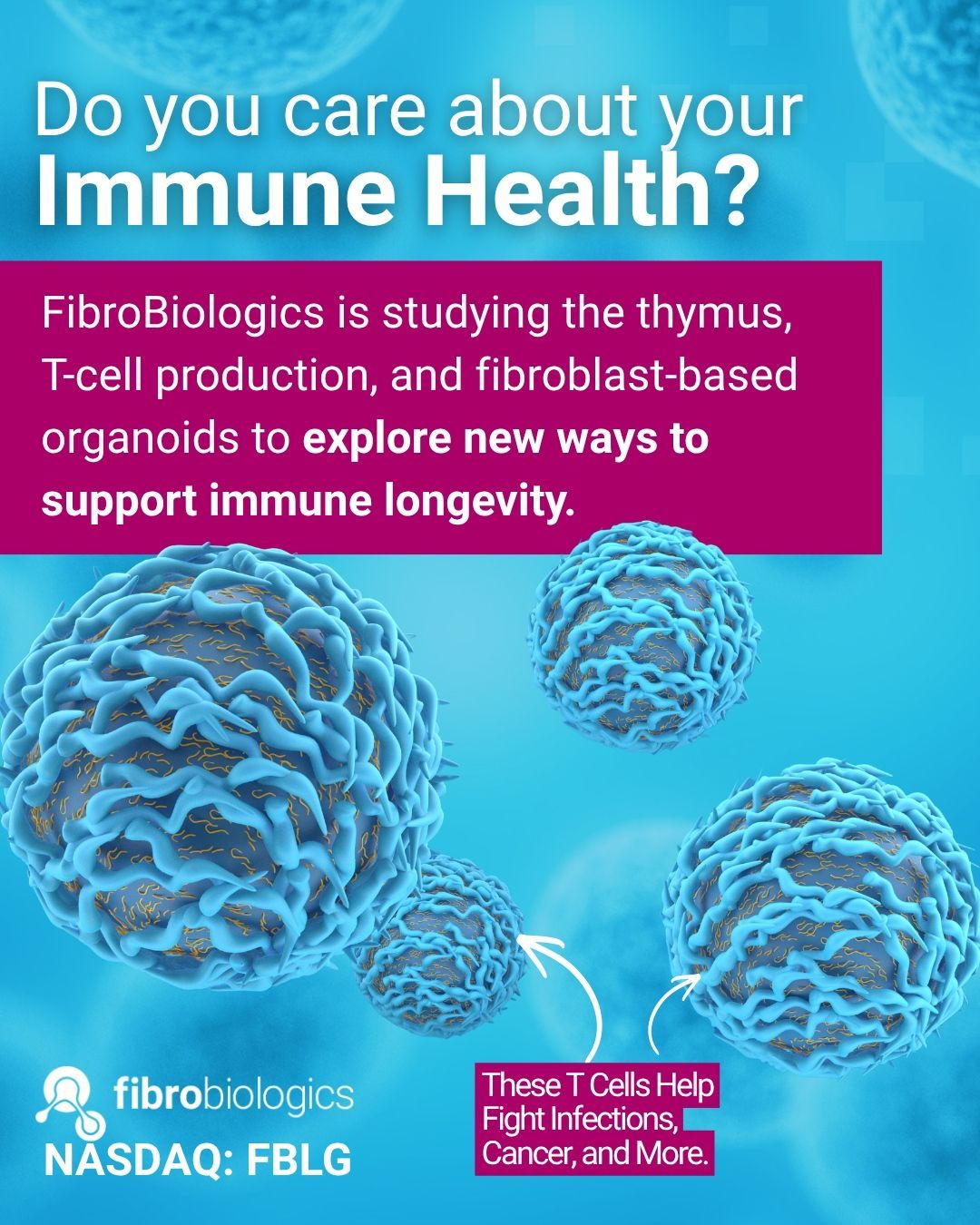 FibroBiologics (Nasdaq: FBLG) ad