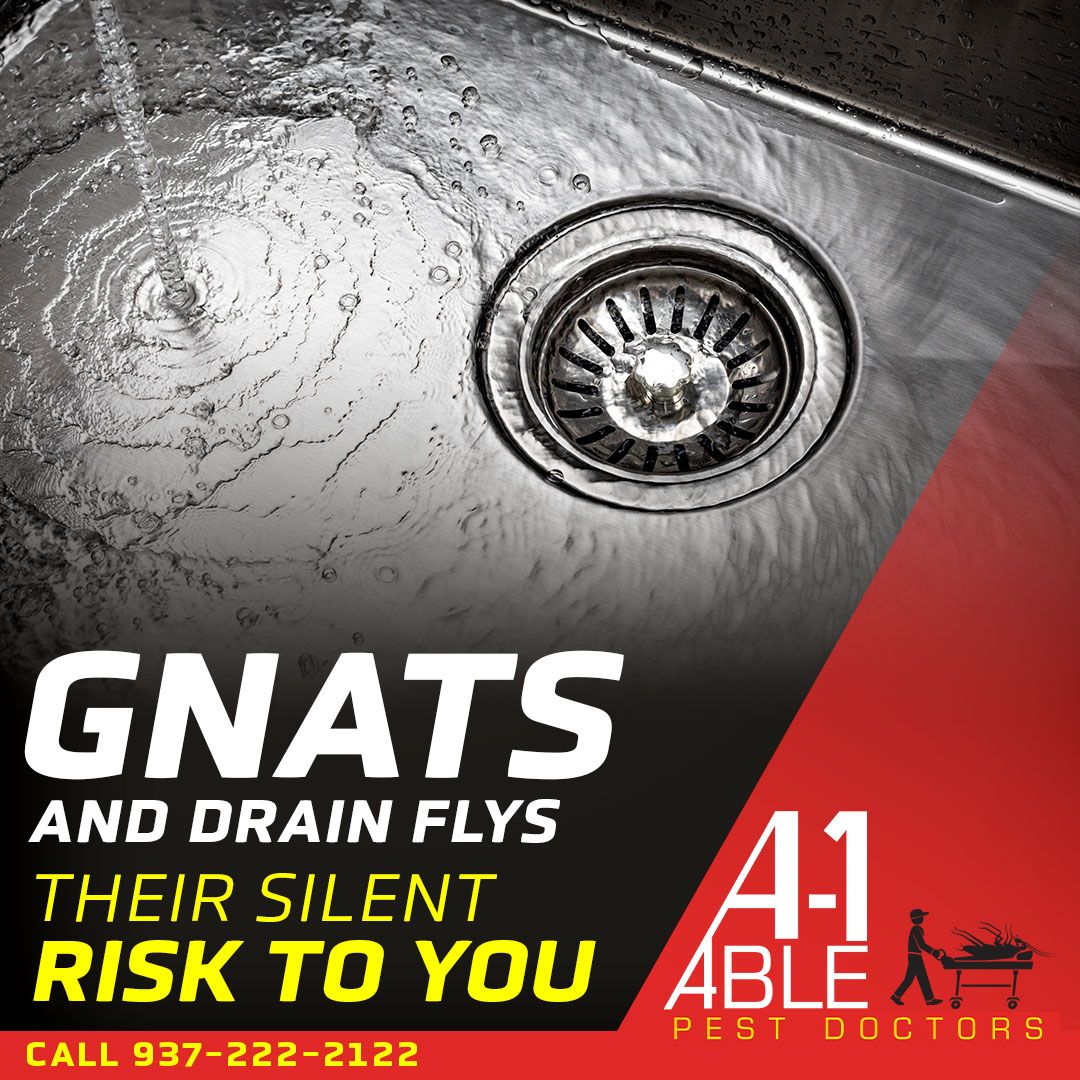 A-1 Able Pest Doctors ad