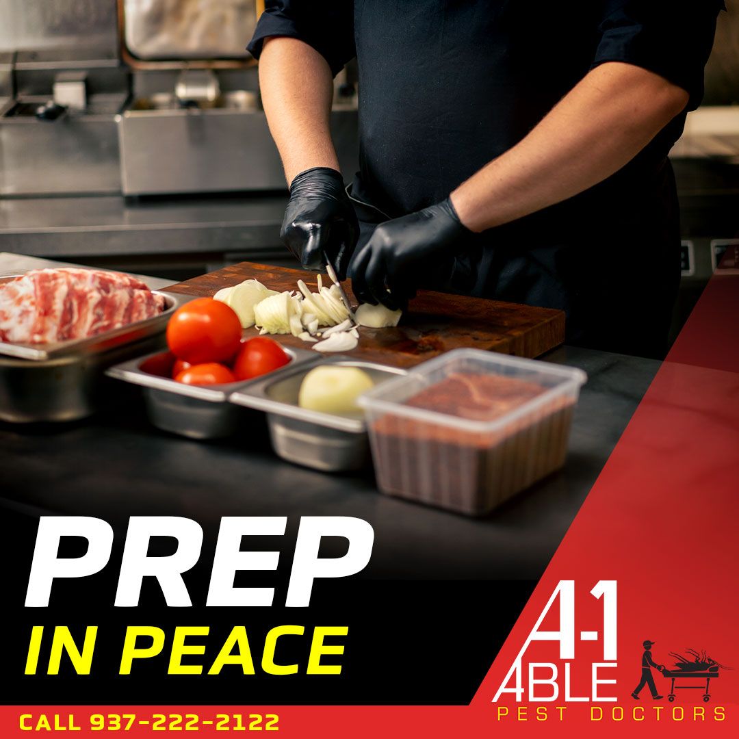 A-1 Able Pest Doctors ad