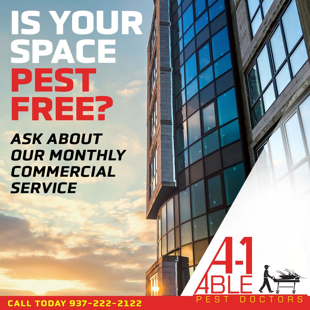 A-1 Able Pest Doctors ad