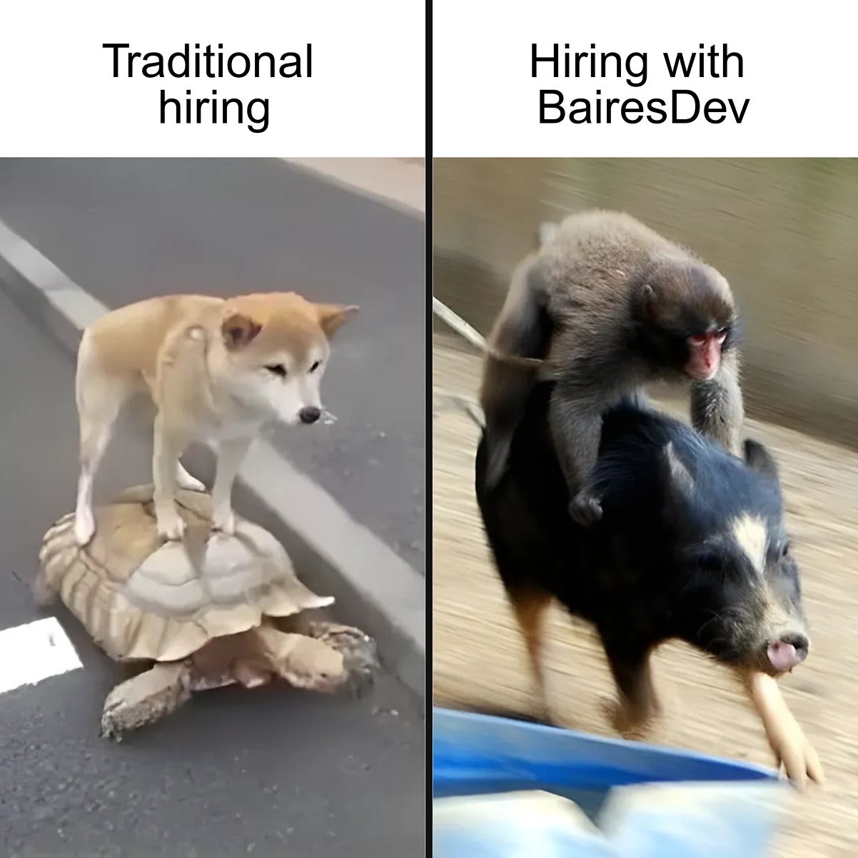 BairesDev ad