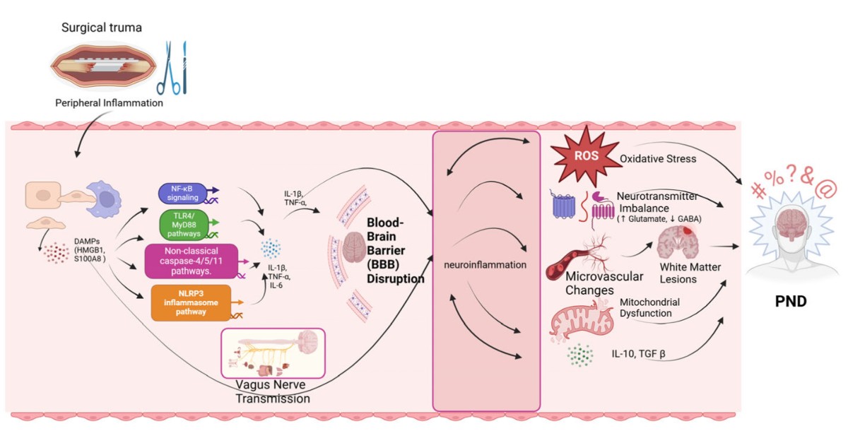 Biomedicines MDPI ad