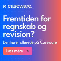 Caseware ad