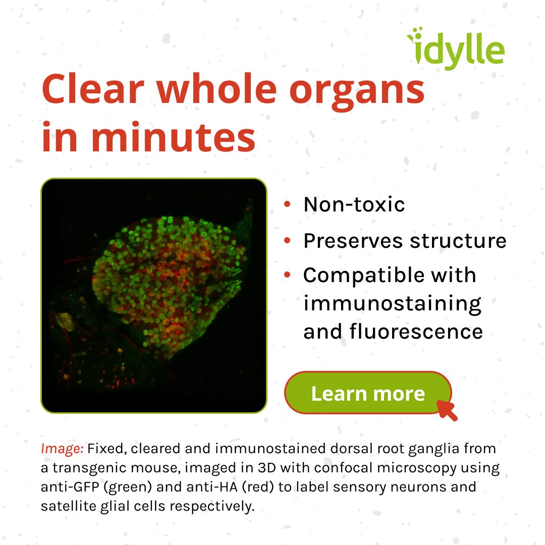 Idylle ad
